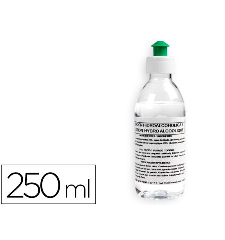 BOTE GEL HIDROALCOHOLICO 250ML BOTE GEL HIDROALCOHOLICO 250ML