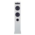 TORRE DE SONIDO DAEWOO DSK515W  30W - COLOR BLANCO