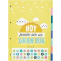 SET 8 SEPARADORES DE CARTON MR. WONDERFUL SET 8 SEPARADORES DE CARTON MR. WONDERFUL